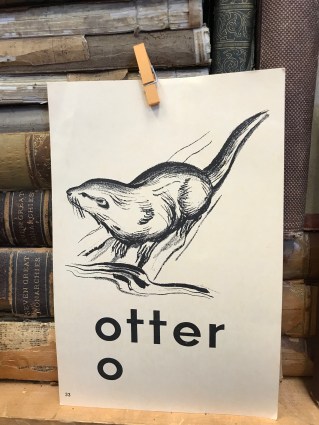 o_otter